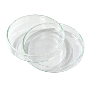 Placa Petri - 100X15Mm