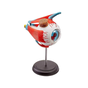 Ojo Desarmable 35 partes