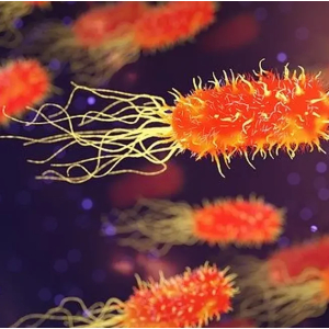 Kit Laboratorio de Seguridad Alimentaria: ¡Colonia de Marte en riesgo!