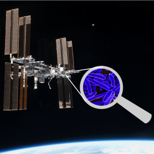 Kit Laboratorio de cazadores de microbios